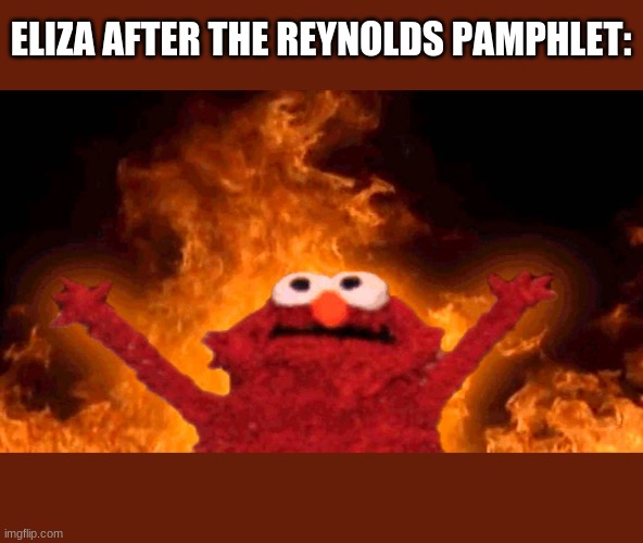 BURN IT! BURN IT ALLLLLL!!!! | ELIZA AFTER THE REYNOLDS PAMPHLET: | image tagged in elmo fire | made w/ Imgflip meme maker