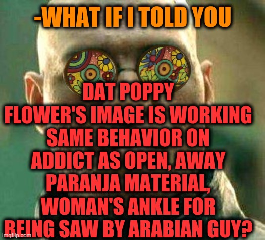 -Same picture. | -WHAT IF I TOLD YOU; DAT POPPY FLOWER'S IMAGE IS WORKING SAME BEHAVIOR ON ADDICT AS OPEN, AWAY PARANJA MATERIAL, WOMAN'S ANKLE FOR BEING SAW BY ARABIAN GUY? | image tagged in acid kicks in morpheus,foot,white woman,open your eyes,saudi arabia,war on drugs | made w/ Imgflip meme maker