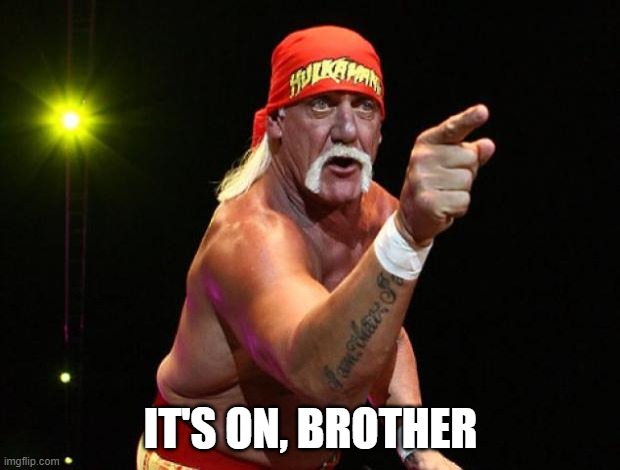 Hulk Hogan | IT'S ON, BROTHER | image tagged in hulk hogan | made w/ Imgflip meme maker