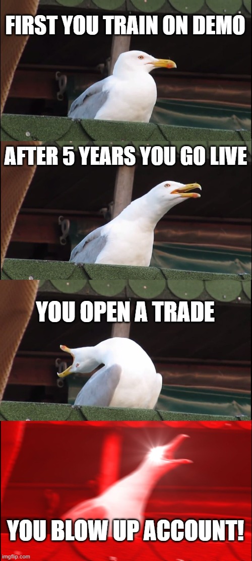 Inhaling Seagull Meme | FIRST YOU TRAIN ON DEMO; AFTER 5 YEARS YOU GO LIVE; YOU OPEN A TRADE; YOU BLOW UP ACCOUNT! | image tagged in memes,inhaling seagull | made w/ Imgflip meme maker