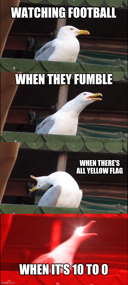 Inhaling Seagull | WATCHING FOOTBALL; WHEN THEY FUMBLE; WHEN THERE'S ALL YELLOW FLAG; WHEN IT'S 10 TO 0 | image tagged in memes,inhaling seagull | made w/ Imgflip meme maker