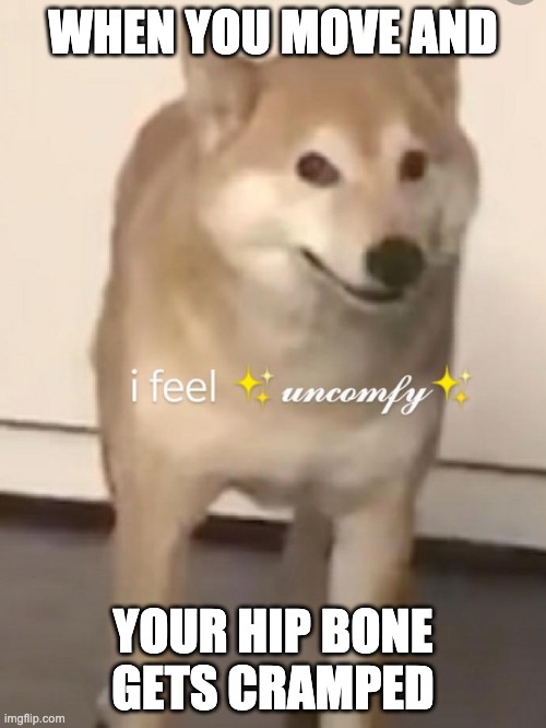 Am Uncomfy | WHEN YOU MOVE AND; YOUR HIP BONE GETS CRAMPED | image tagged in uncomfy doggo | made w/ Imgflip meme maker