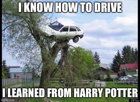 Please upvote this. | I KNOW HOW TO DRIVE; I LEARNED FROM HARRY POTTER | image tagged in memes,secure parking | made w/ Imgflip meme maker