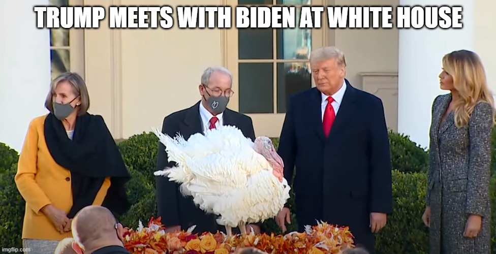 Trump | TRUMP MEETS WITH BIDEN AT WHITE HOUSE | image tagged in turkey | made w/ Imgflip meme maker