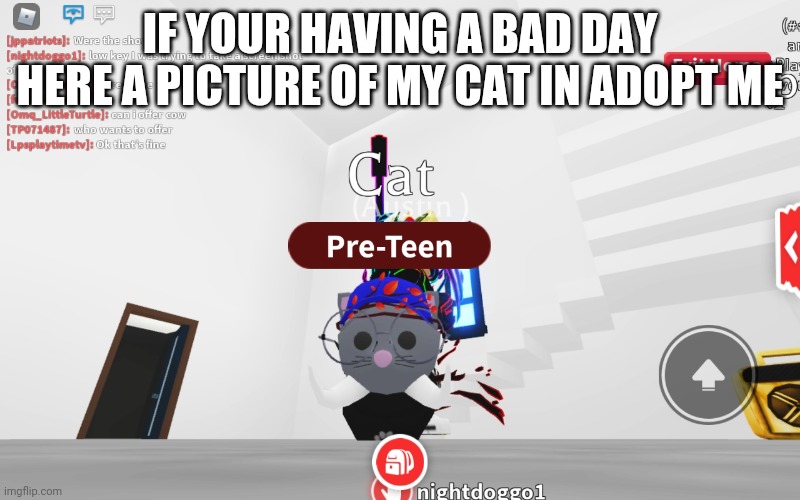 IF YOUR HAVING A BAD DAY HERE A PICTURE OF MY CAT IN ADOPT ME | made w/ Imgflip meme maker