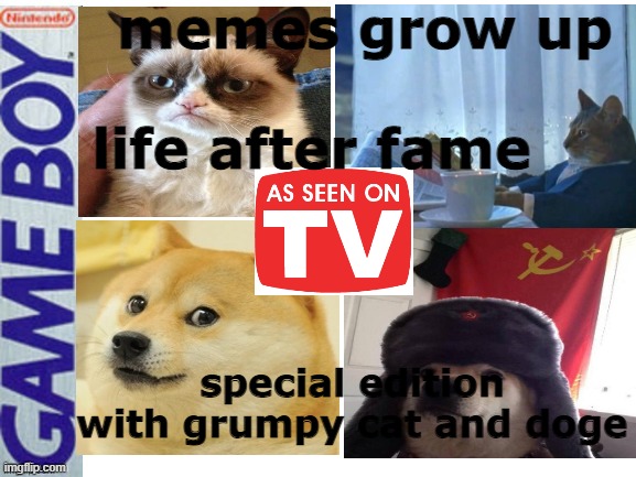 Fake gameboy game |  memes grow up; life after fame; special edition with grumpy cat and doge | image tagged in fake gameboy game | made w/ Imgflip meme maker