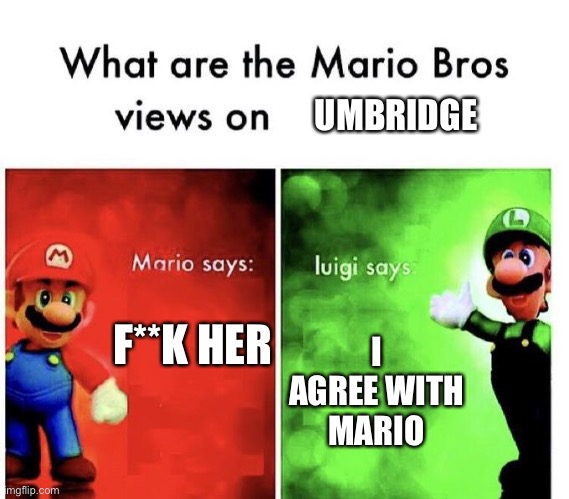 Be honest u hate her more than voldy | UMBRIDGE; I AGREE WITH MARIO; F**K HER | image tagged in mario bros views | made w/ Imgflip meme maker