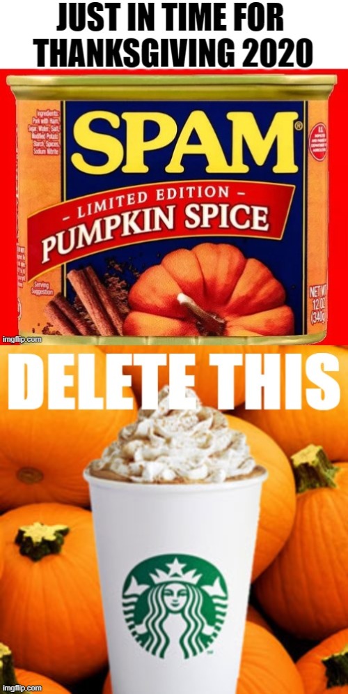 heeeeeeeeeeeeeell naw | image tagged in pumpkin spice latte delete this,delete this,pumpkin spice,spam,delet this | made w/ Imgflip meme maker