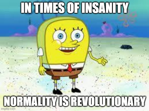 Normal | IN TIMES OF INSANITY; NORMALITY IS REVOLUTIONARY | image tagged in normal spongebob | made w/ Imgflip meme maker