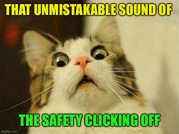 Scared Cat Meme | THAT UNMISTAKABLE SOUND OF THE SAFETY CLICKING OFF | image tagged in memes,scared cat | made w/ Imgflip meme maker
