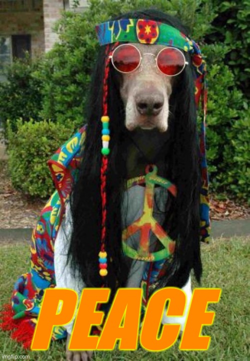 Hippie dog  | PEACE | image tagged in hippie dog | made w/ Imgflip meme maker