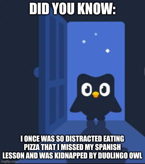 Duolingo bird | DID YOU KNOW: I ONCE WAS SO DISTRACTED EATING PIZZA THAT I MISSED MY SPANISH LESSON AND WAS KIDNAPPED BY DUOLINGO OWL | image tagged in duolingo bird | made w/ Imgflip meme maker
