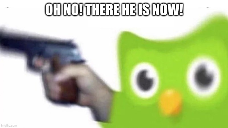duolingo gun | OH NO! THERE HE IS NOW! | image tagged in duolingo gun | made w/ Imgflip meme maker
