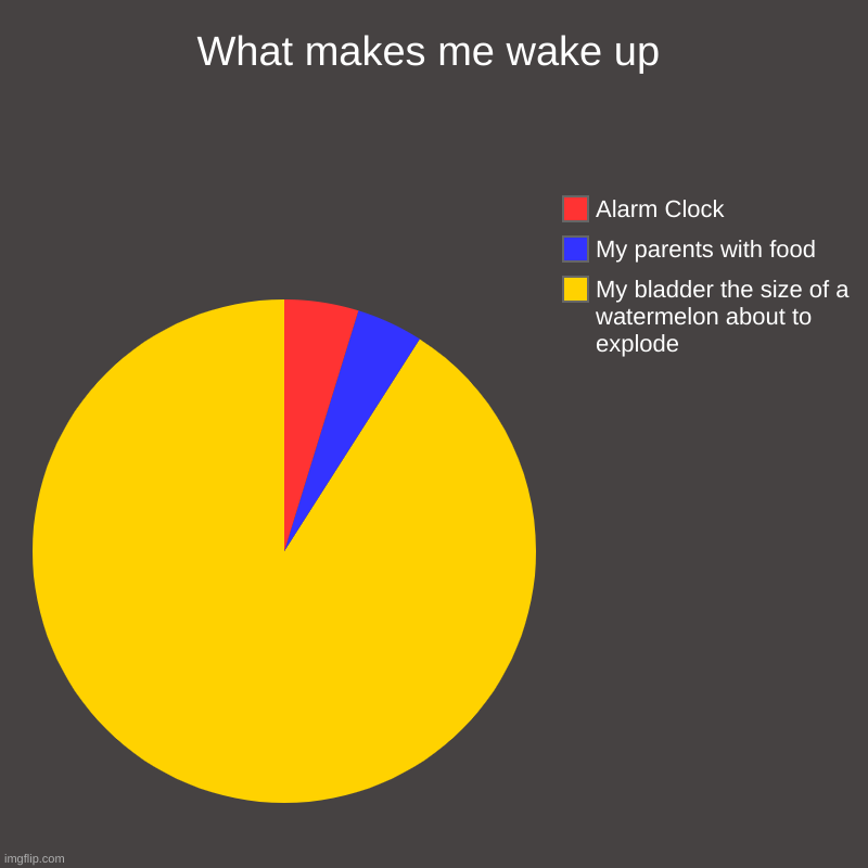 This is true....right? | What makes me wake up | My bladder the size of a watermelon about to explode, My parents with food, Alarm Clock | image tagged in charts,pie charts,alarm clock,food,bladder,wake up | made w/ Imgflip chart maker