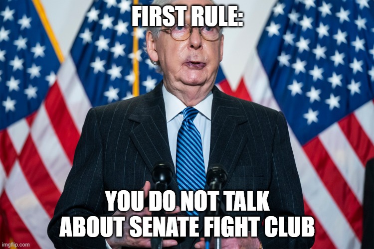 senate fight club | FIRST RULE:; YOU DO NOT TALK ABOUT SENATE FIGHT CLUB | image tagged in fight club | made w/ Imgflip meme maker