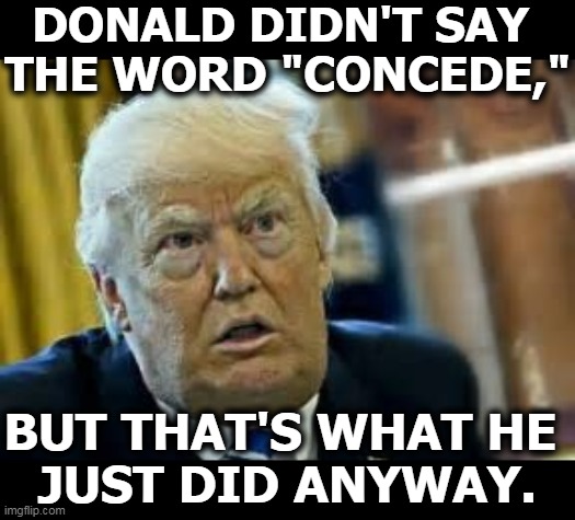 The legitimate loser of the election just conceded. | DONALD DIDN'T SAY 
THE WORD "CONCEDE,"; BUT THAT'S WHAT HE 
JUST DID ANYWAY. | image tagged in trump dilated loser,trump,legit,loser,admit it | made w/ Imgflip meme maker
