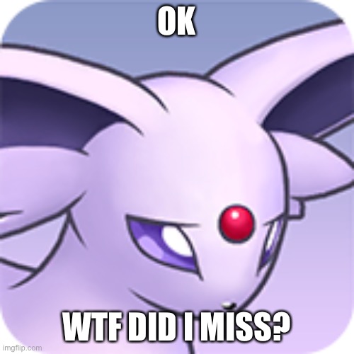 What just happened?! | OK; WTF DID I MISS? | made w/ Imgflip meme maker