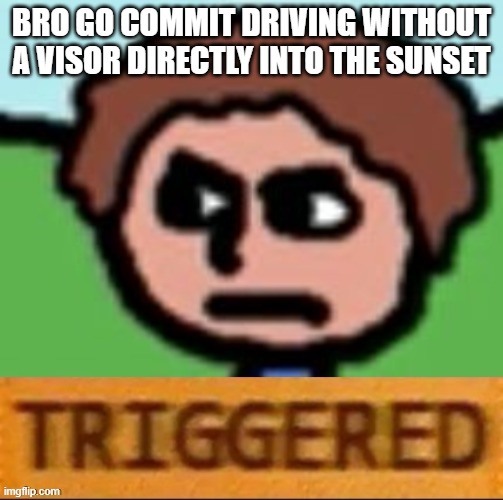 to whoever is making these accounts | BRO GO COMMIT DRIVING WITHOUT A VISOR DIRECTLY INTO THE SUNSET | image tagged in the duck song triggered | made w/ Imgflip meme maker