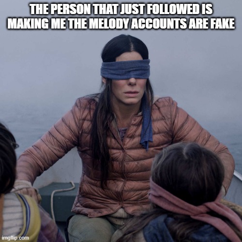 Bird Box | THE PERSON THAT JUST FOLLOWED IS MAKING ME THE MELODY ACCOUNTS ARE FAKE | image tagged in memes,bird box | made w/ Imgflip meme maker