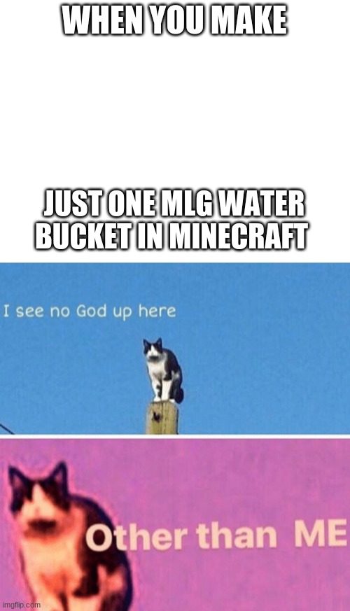 MLG WATER BUCKET | WHEN YOU MAKE; JUST ONE MLG WATER BUCKET IN MINECRAFT | image tagged in blank white template,hail pole cat,dream,minecraft,steve | made w/ Imgflip meme maker