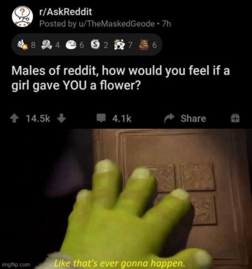 Flowers | image tagged in like that's ever gonna happen,memes,funny,flowers,reddit | made w/ Imgflip meme maker