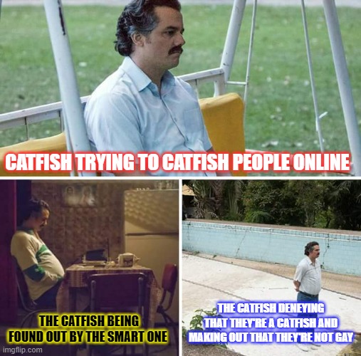 CATFISH | CATFISH TRYING TO CATFISH PEOPLE ONLINE; THE CATFISH BEING FOUND OUT BY THE SMART ONE; THE CATFISH DENEYING THAT THEY'RE A CATFISH AND MAKING OUT THAT THEY'RE NOT GAY | image tagged in memes,sad pablo escobar,catfish | made w/ Imgflip meme maker