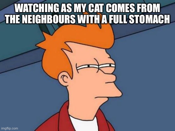 Disloyal little sucker | WATCHING AS MY CAT COMES FROM THE NEIGHBOURS WITH A FULL STOMACH | image tagged in memes,futurama fry,cats | made w/ Imgflip meme maker
