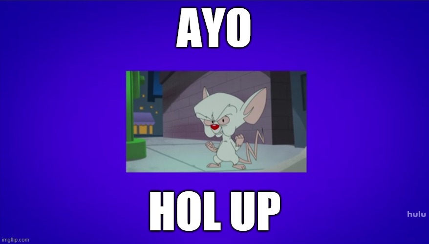 this episode is removed | AYO; HOL UP | image tagged in animaniacs | made w/ Imgflip meme maker