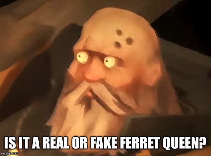 IS IT A REAL OR FAKE FERRET QUEEN? | made w/ Imgflip meme maker