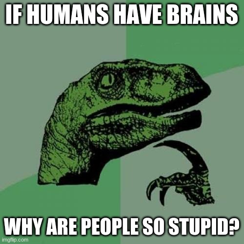 Philosoraptor Meme | IF HUMANS HAVE BRAINS WHY ARE PEOPLE SO STUPID? | image tagged in memes,philosoraptor | made w/ Imgflip meme maker