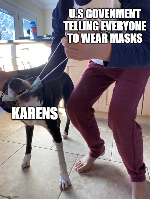 Dog with Mask | U.S GOVENMENT TELLING EVERYONE TO WEAR MASKS; KARENS | image tagged in dog with mask,karen,face mask | made w/ Imgflip meme maker
