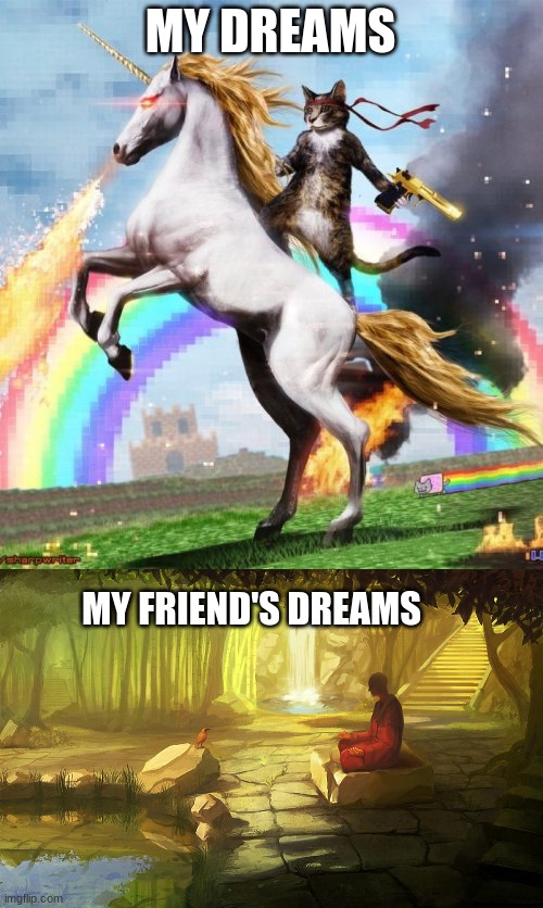 MY DREAMS; MY FRIEND'S DREAMS | image tagged in memes,welcome to the internets,zen | made w/ Imgflip meme maker