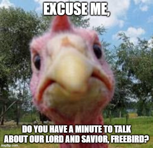 Excuse The Turkey! |  EXCUSE ME, DO YOU HAVE A MINUTE TO TALK ABOUT OUR LORD AND SAVIOR, FREEBIRD? | image tagged in turkey,pardon,excuse me,lord,savior | made w/ Imgflip meme maker