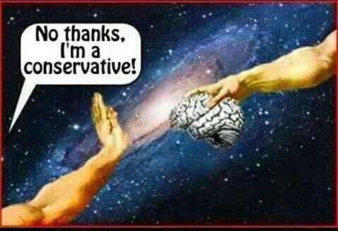 Brain no thanks i'm a conservative Blank Meme Template