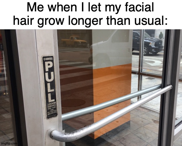 Thought We Were Payin' Ya Really Good Bucks | Me when I let my facial hair grow longer than usual: | image tagged in memes,facial hair,facial,hair | made w/ Imgflip meme maker