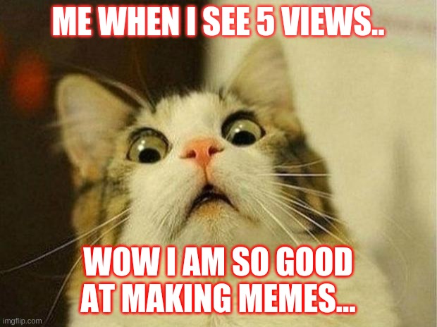Me when i start meme gen. be like- | ME WHEN I SEE 5 VIEWS.. WOW I AM SO GOOD AT MAKING MEMES... | image tagged in memes,scared cat | made w/ Imgflip meme maker