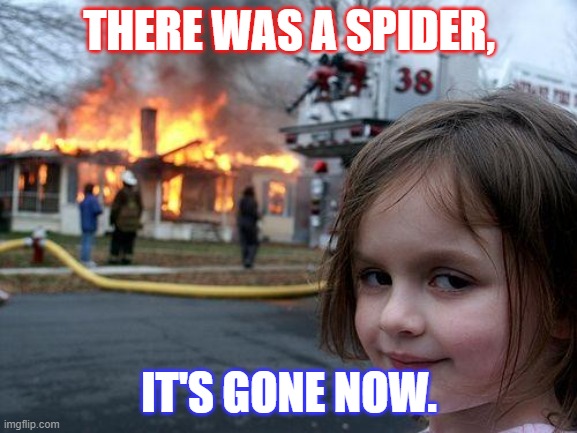 Disaster Girl Meme | THERE WAS A SPIDER, IT'S GONE NOW. | image tagged in memes,disaster girl,spoder | made w/ Imgflip meme maker