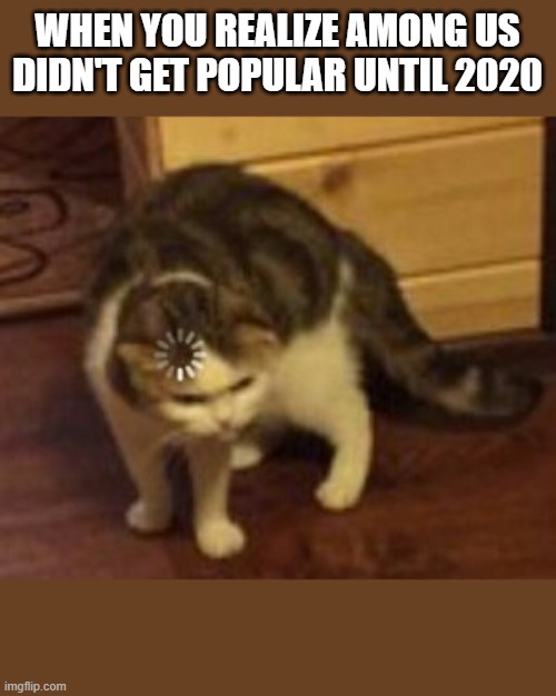 Why, though? | WHEN YOU REALIZE AMONG US DIDN'T GET POPULAR UNTIL 2020 | image tagged in loading cat | made w/ Imgflip meme maker