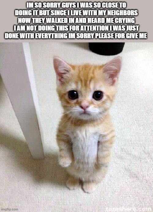 please don't hate im so sorry | IM SO SORRY GUYS I WAS SO CLOSE TO DOING IT BUT SINCE I LIVE WITH MY NEIGHBORS NOW THEY WALKED IN AND HEARD ME CRYING I AM NOT DOING THIS FOR ATTENTION I WAS JUST DONE WITH EVERYTHING IM SORRY PLEASE FOR GIVE ME | image tagged in memes,cute cat | made w/ Imgflip meme maker