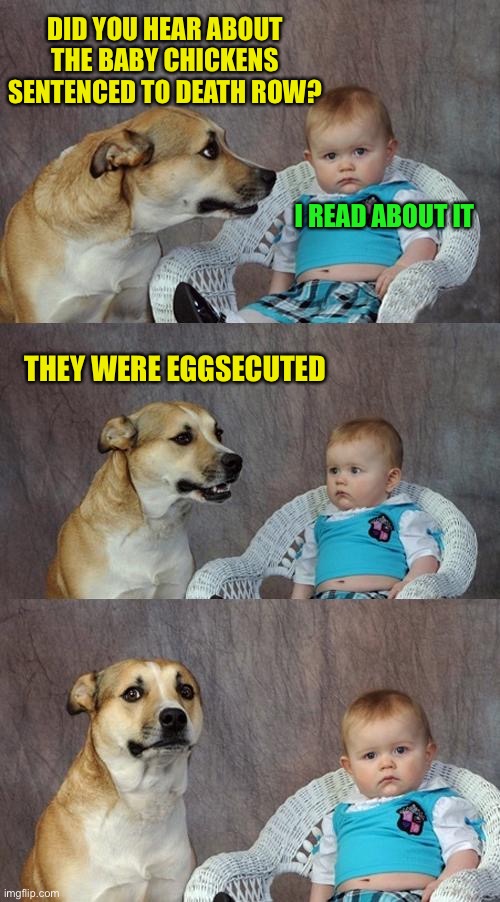 An eggsellent dad joke | DID YOU HEAR ABOUT THE BABY CHICKENS SENTENCED TO DEATH ROW? I READ ABOUT IT; THEY WERE EGGSECUTED | image tagged in memes,dad joke dog | made w/ Imgflip meme maker