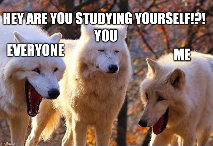 what are you doing? | HEY ARE YOU STUDYING YOURSELF!?! YOU; ME; EVERYONE | image tagged in laughing wolf,omg,everyone | made w/ Imgflip meme maker