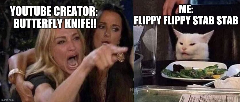 woman yelling at cat | ME:
FLIPPY FLIPPY STAB STAB; YOUTUBE CREATOR: 
BUTTERFLY KNIFE!! | image tagged in woman yelling at cat | made w/ Imgflip meme maker