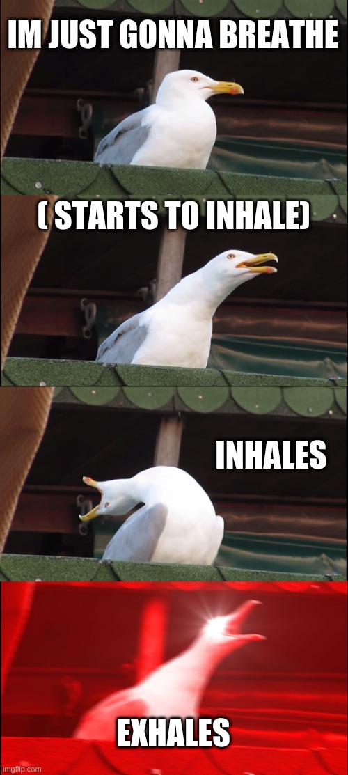 Inhaling Seagull | IM JUST GONNA BREATHE; ( STARTS TO INHALE); INHALES; EXHALES | image tagged in memes,inhaling seagull | made w/ Imgflip meme maker