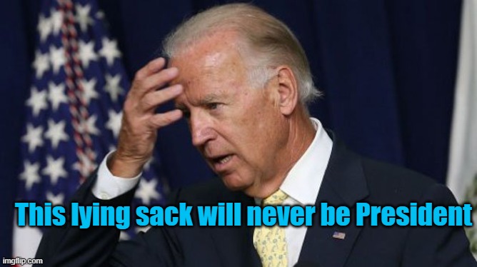 Lying Sack Biden | This lying sack will never be President | image tagged in joe biden worries,president,shit | made w/ Imgflip meme maker