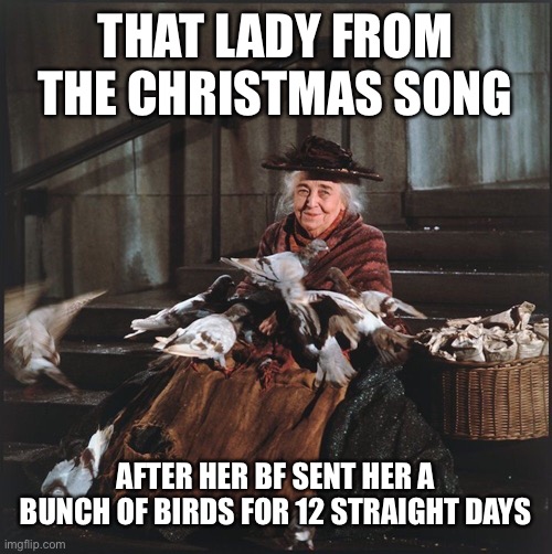Bird lady |  THAT LADY FROM THE CHRISTMAS SONG; AFTER HER BF SENT HER A BUNCH OF BIRDS FOR 12 STRAIGHT DAYS | image tagged in birds,christmas,mary poppins,12 days of christmas | made w/ Imgflip meme maker