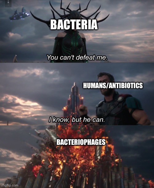 Basically what happens inside the body | BACTERIA; HUMANS/ANTIBIOTICS; BACTERIOPHAGES | image tagged in you can t defeat me | made w/ Imgflip meme maker