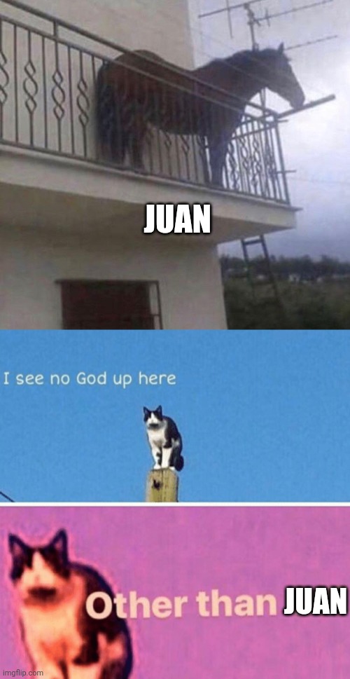 juan | JUAN; JUAN | image tagged in juan | made w/ Imgflip meme maker