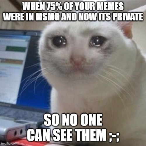 F | WHEN 75% OF YOUR MEMES WERE IN MSMG AND NOW ITS PRIVATE; SO NO ONE CAN SEE THEM ;-; | image tagged in crying cat | made w/ Imgflip meme maker