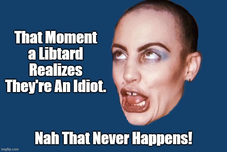 No I Don't Want to Hear From The Libtards. | That Moment a Libtard Realizes They're An Idiot. Nah That Never Happens! | image tagged in libtards,alice phalus | made w/ Imgflip meme maker