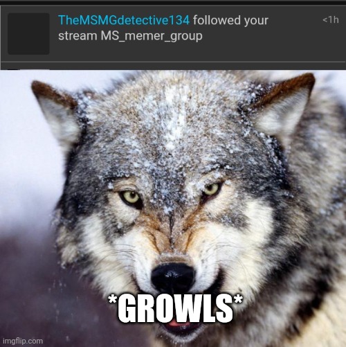 *GROWLS* | image tagged in growlingwolf | made w/ Imgflip meme maker